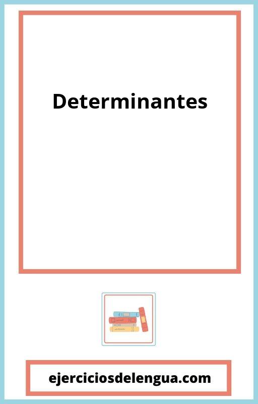 Determinantes Ejercicios PDF